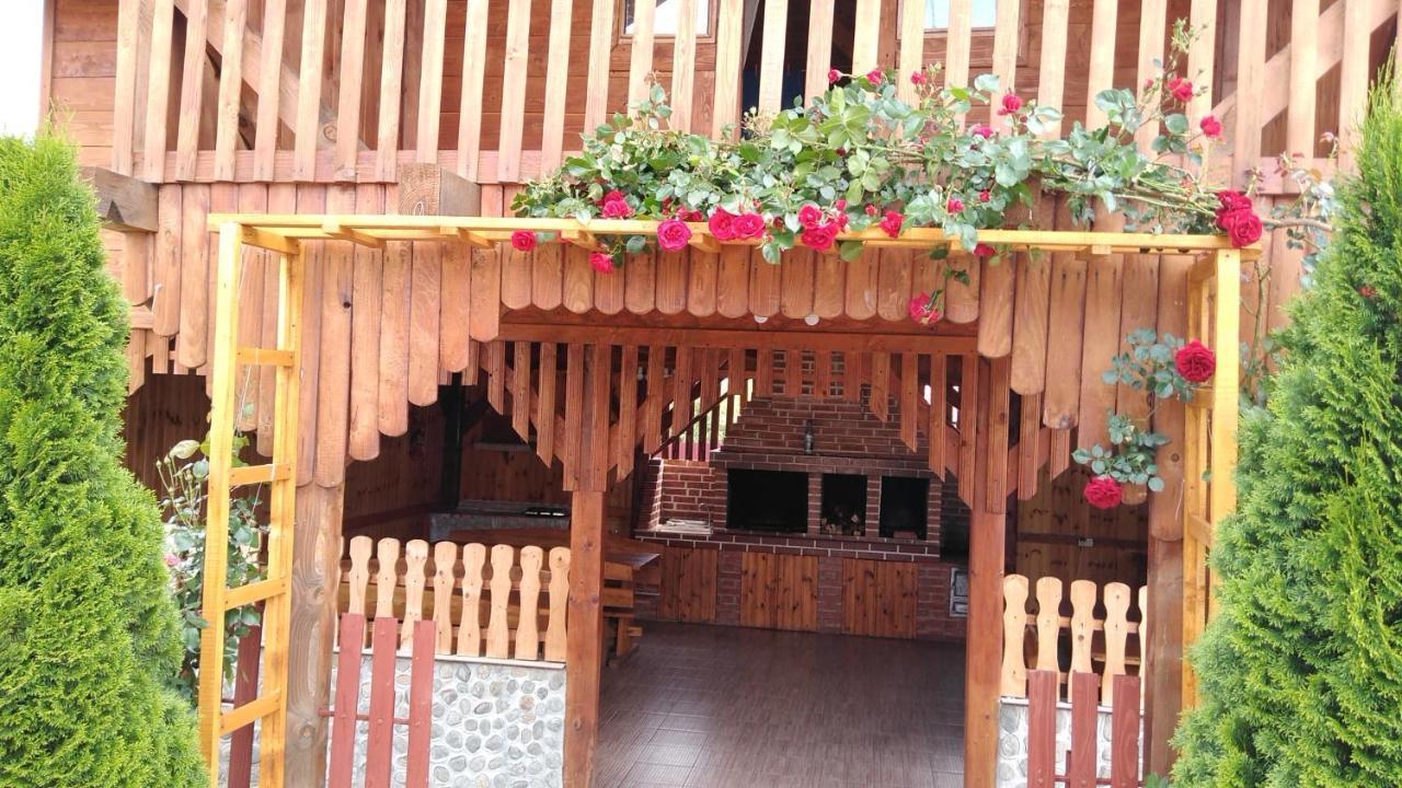 Pensiunea Casa Nina Cîrţişoara Εξωτερικό φωτογραφία