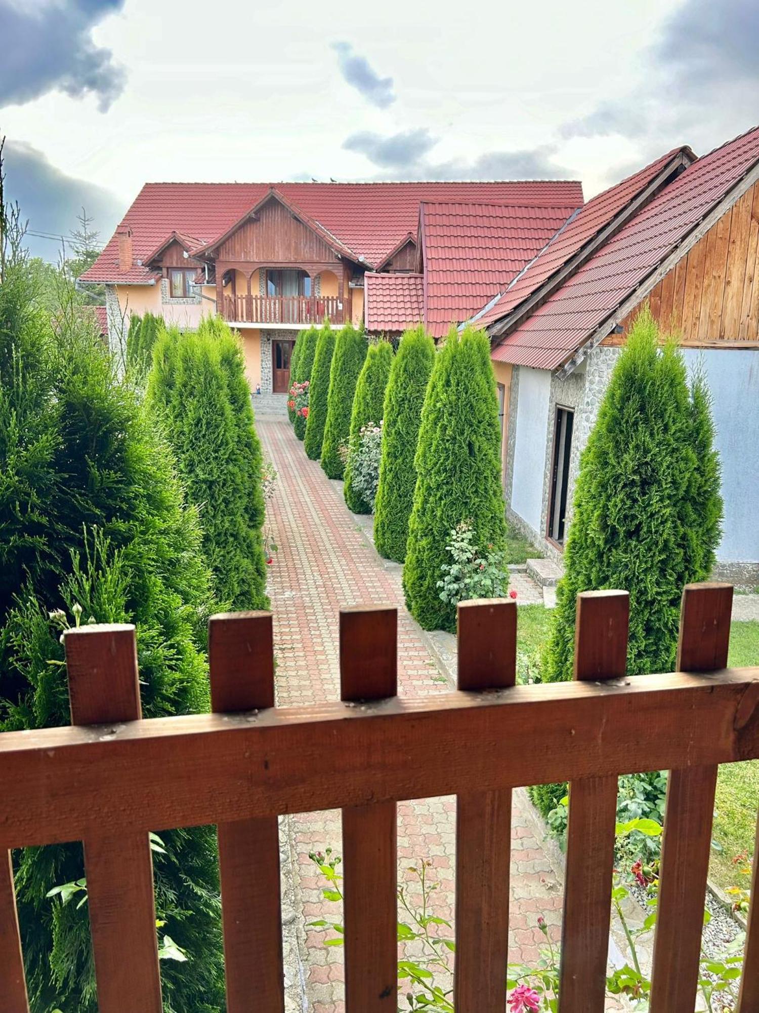 Pensiunea Casa Nina Cîrţişoara Εξωτερικό φωτογραφία