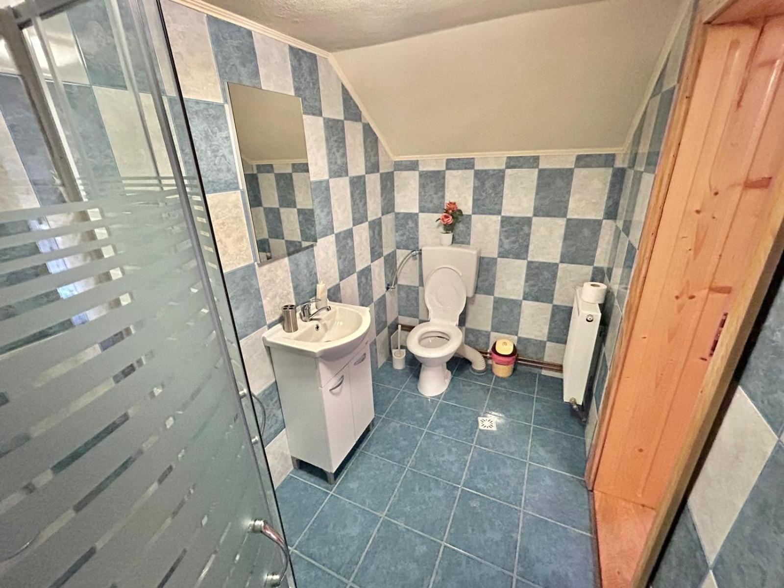 Pensiunea Casa Nina Cîrţişoara Δωμάτιο φωτογραφία
