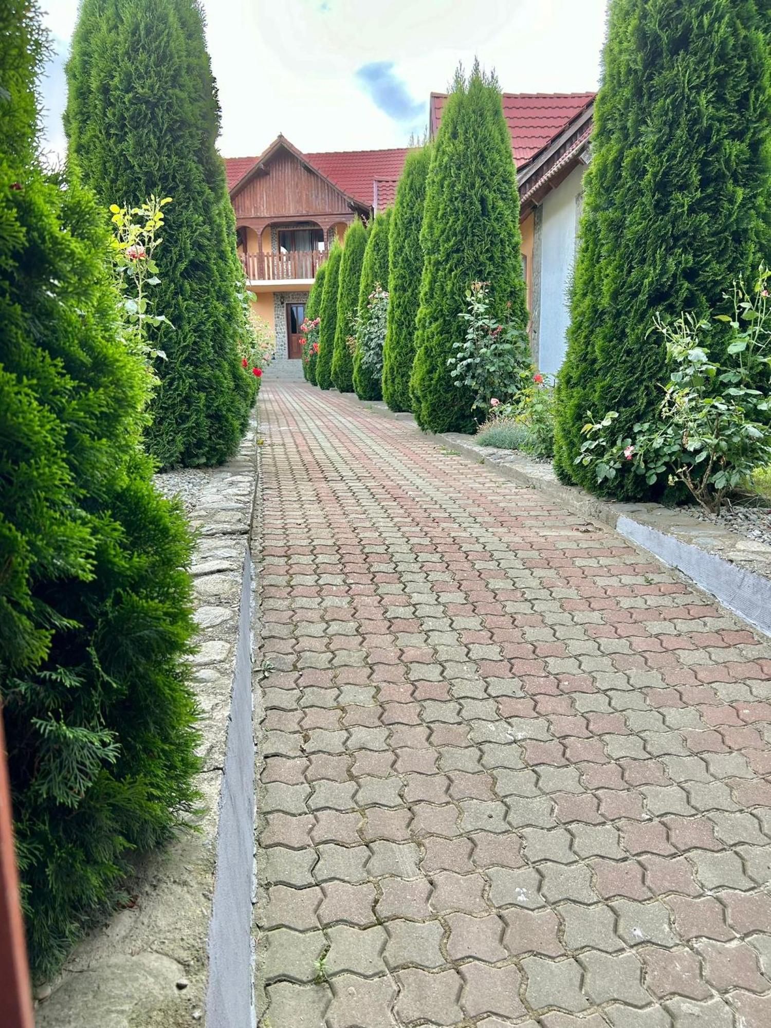 Pensiunea Casa Nina Cîrţişoara Εξωτερικό φωτογραφία