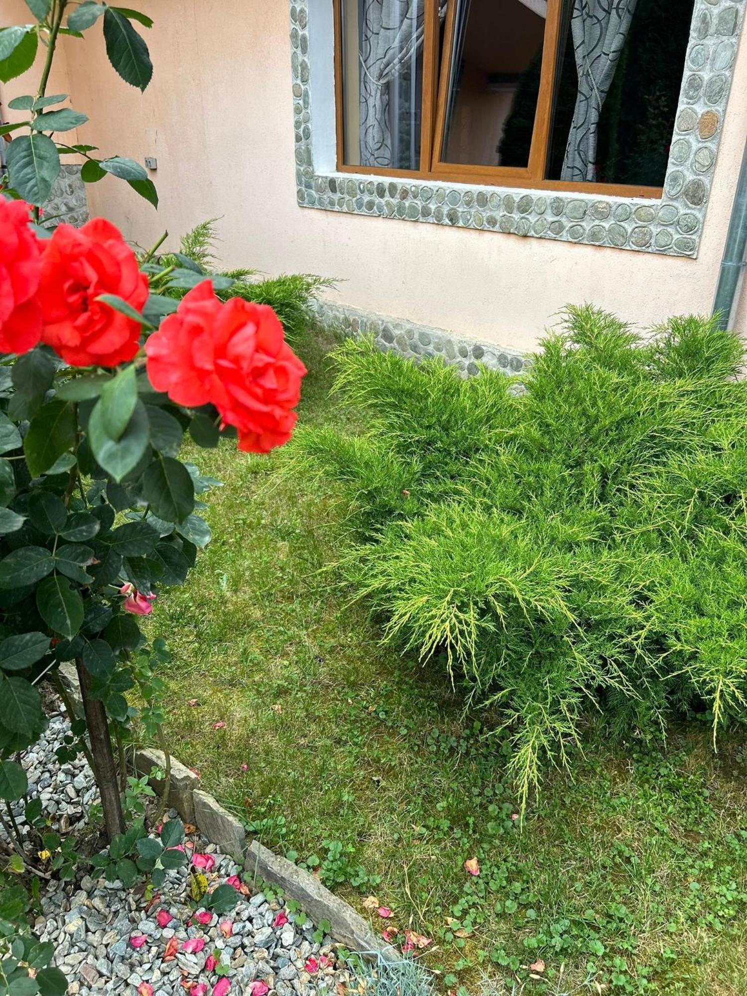 Pensiunea Casa Nina Cîrţişoara Εξωτερικό φωτογραφία