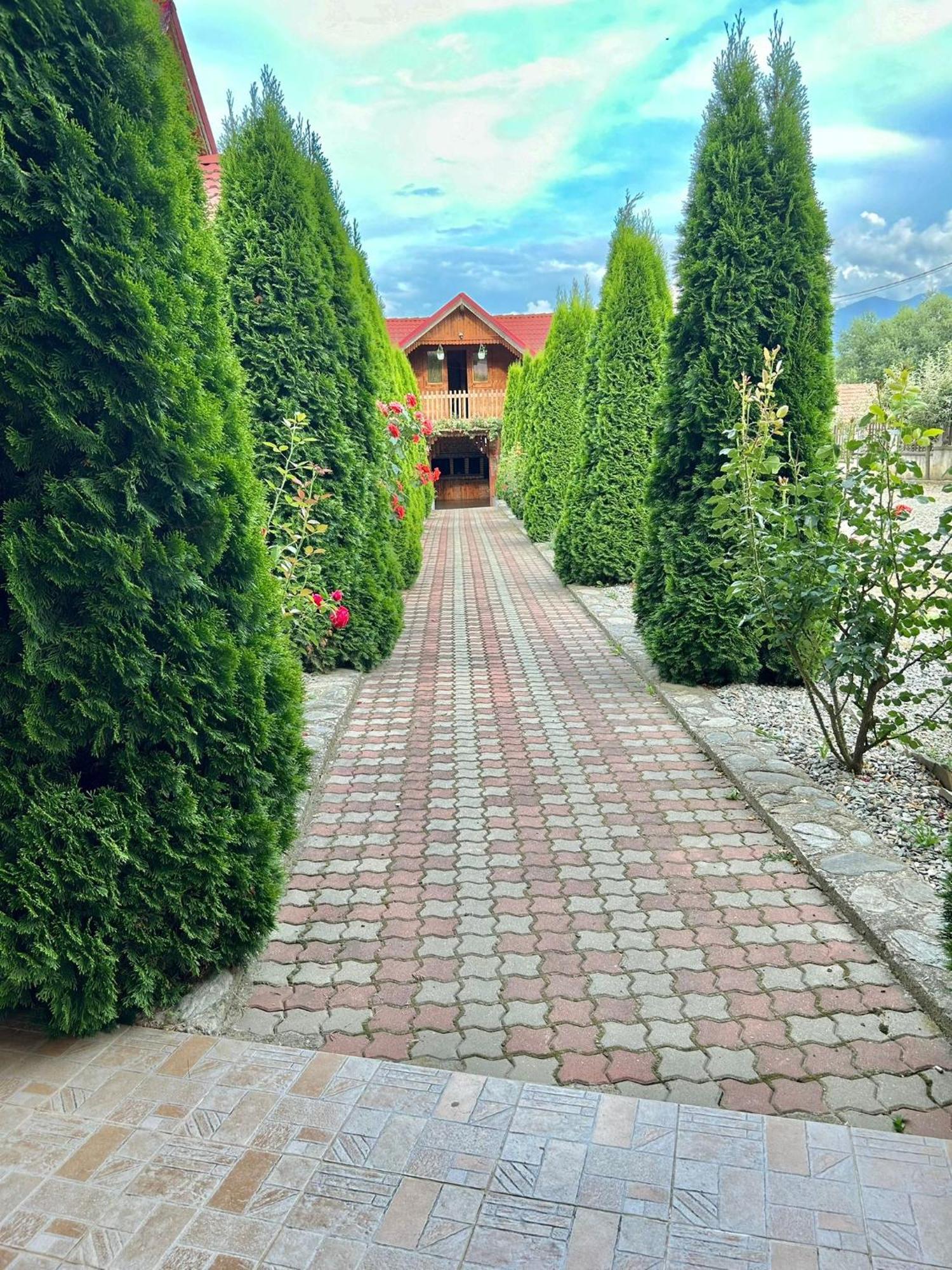 Pensiunea Casa Nina Cîrţişoara Εξωτερικό φωτογραφία
